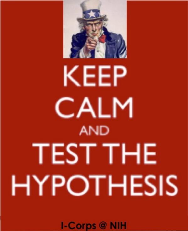Is hypothesis and thesis the same thing