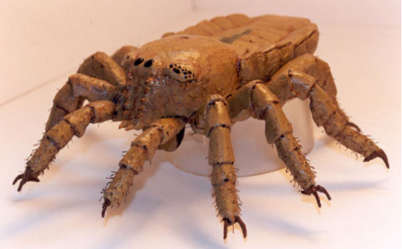 Scientists "resurrect" a 410 million-year-old spider with cgi