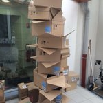 Test bio