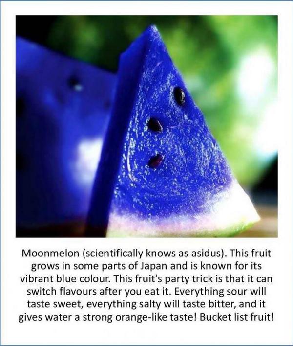 Ever heard about Moonmelon: http://t.co/1rNqeSem4s
