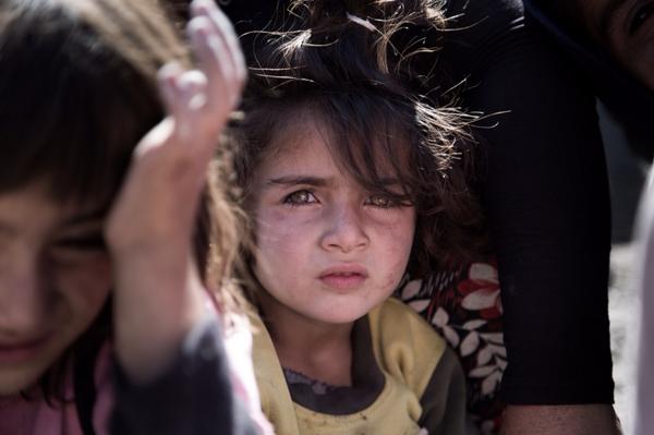 I Rapport 19.30 - missa inte vårt reportage om den kurdiska flyktingkatastrofen undan Islamiska staten, IS 