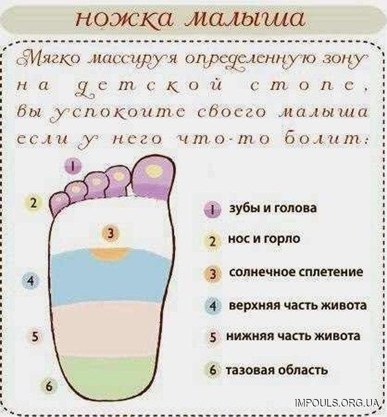 Лямблии симптомы википедия