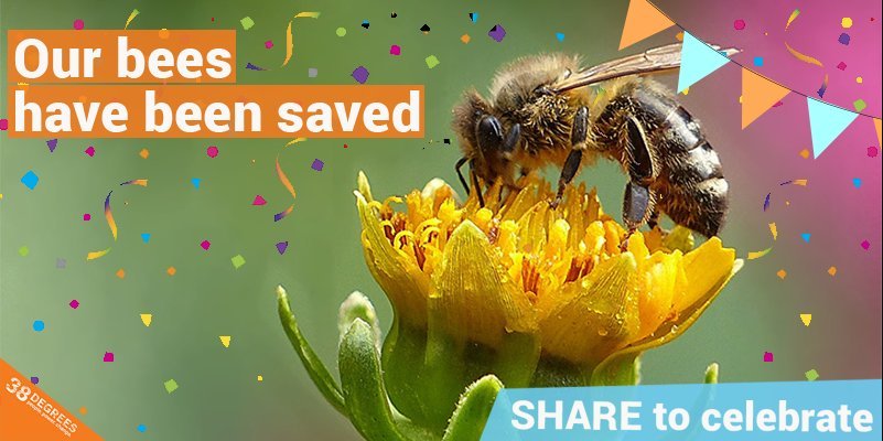 RT @38_degrees: Another win for people power! 

RETWEET if you helped #savethebees https://t.co/jIkFmueNiy