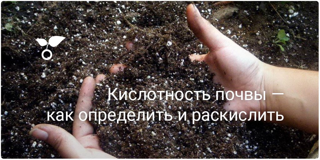 Как раскислить почву в домашних условиях