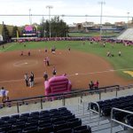 2017 Michigan Softball Academy fights breast cancer