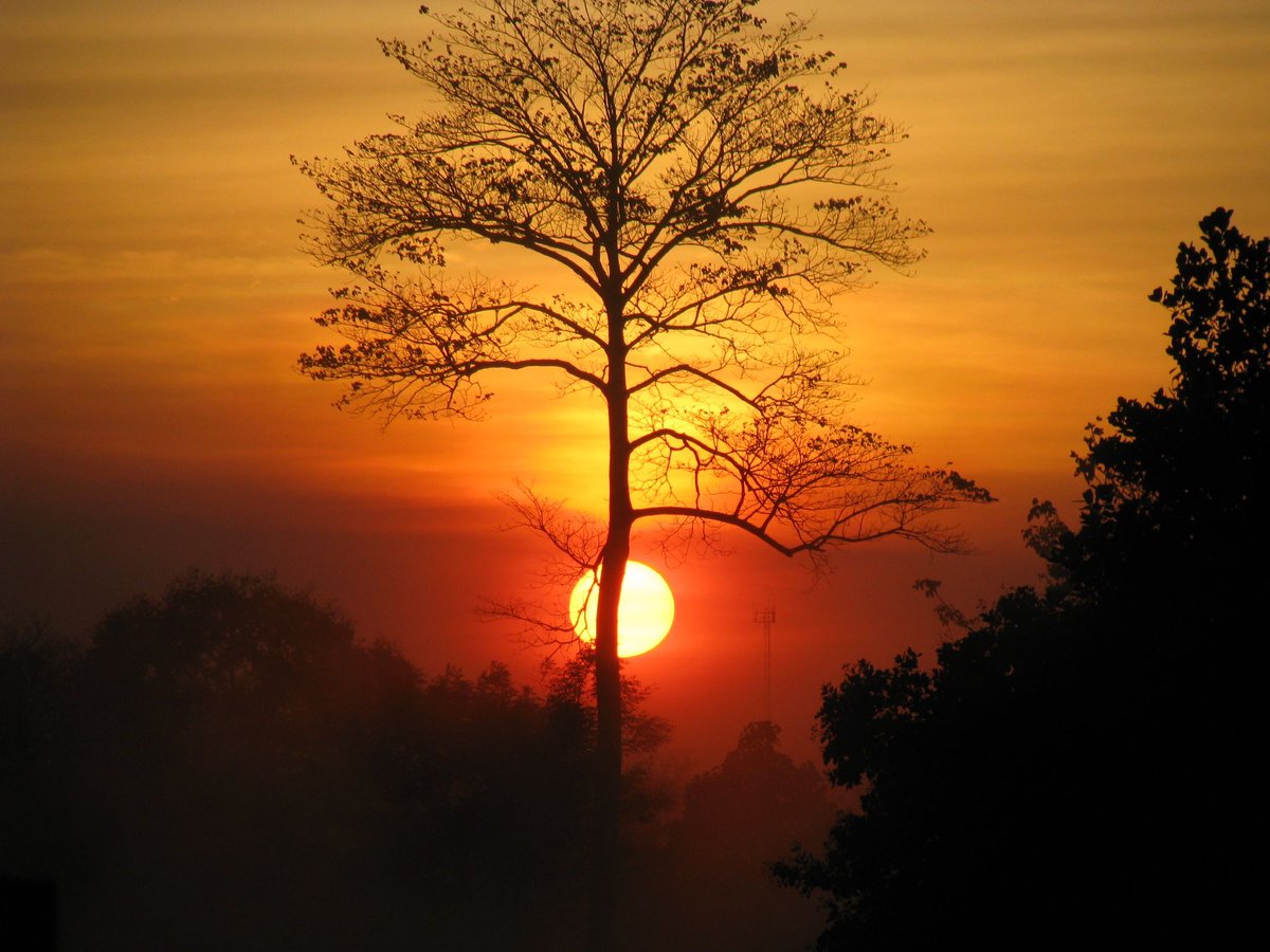 The sun setting in Cambodia... https://t.co/IuzokqinrQ https://t.co/oYzPbo6G6J