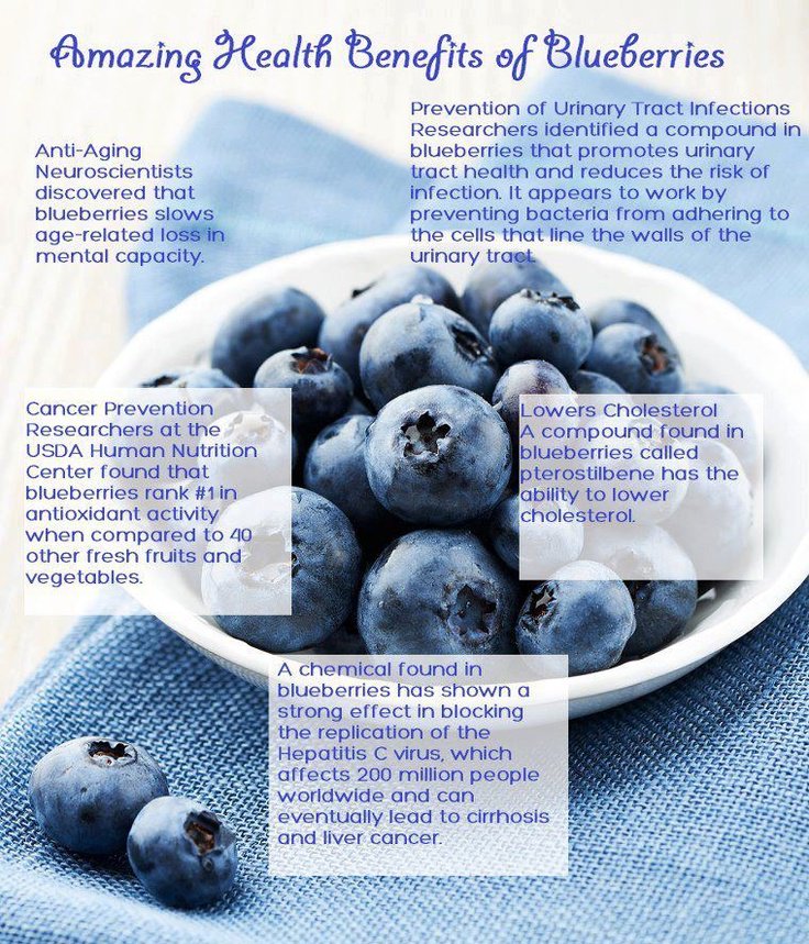 A diet enriched with #blueberries may help reduce belly fat ➡ https://t.co/nAt8fB24mt https://t.co/MMJ3pH6gVS