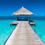 Maldives hit by ISIS fears as blogger who slammed extremists is hacked to death on the Brit honeymoon hotspot Maldives hit by ISIS fears as blogger who slammed extremists is hacked to death on the Brit honeymoon hotspot