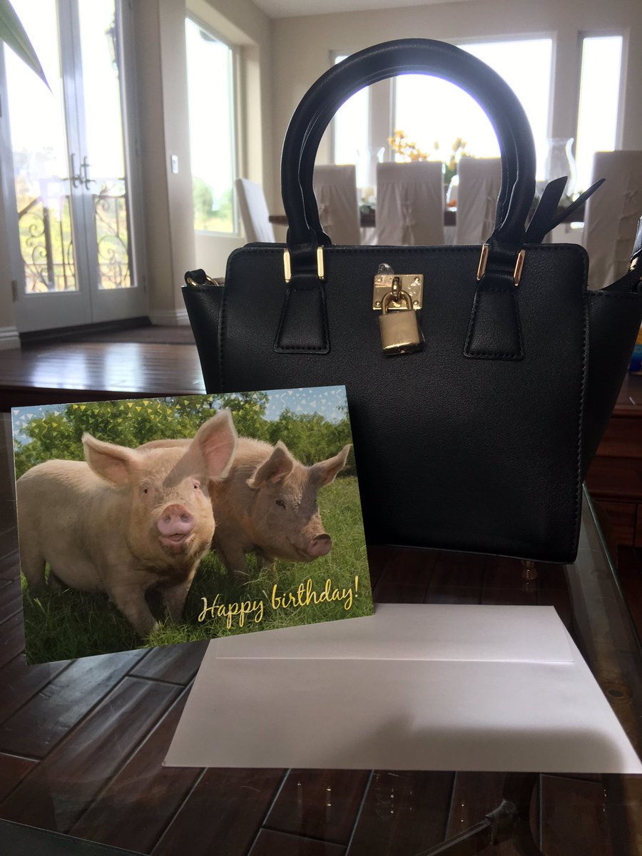 Thank u @peta for this adorable Angela Roi vegan handbag. https://t.co/m6KXsuWuN8