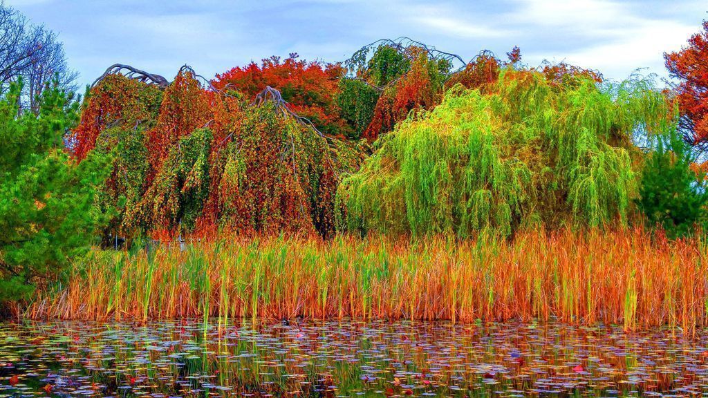 Explosion of color —  https://t.co/Bv3Ay9HsJE https://t.co/JbW5K1Xokx