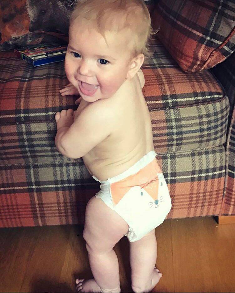 RT @KitandKinUK: Gorgeous little fox | Photo courtesy of mummy https://t.co/nfo17UaMgZ
