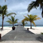 Muslim blogger murdered in Maldives after speaking out against radical Islam: Dad Muslim blogger murdered in Maldives after speaking out against radical Islam: Dad