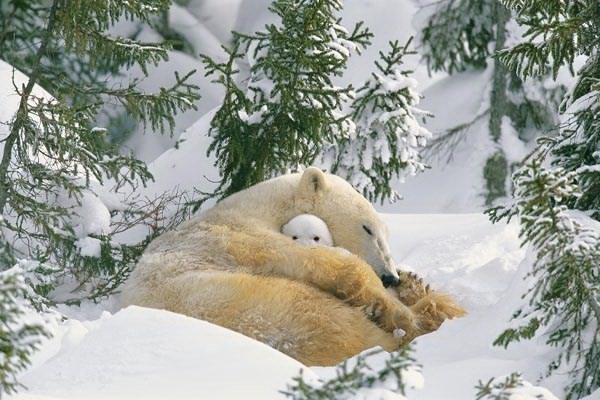 Defenders of Wildlife’s 2017 Photo Contest Winners Defenders of Wildlife’s 2017 Photo Contest Winners