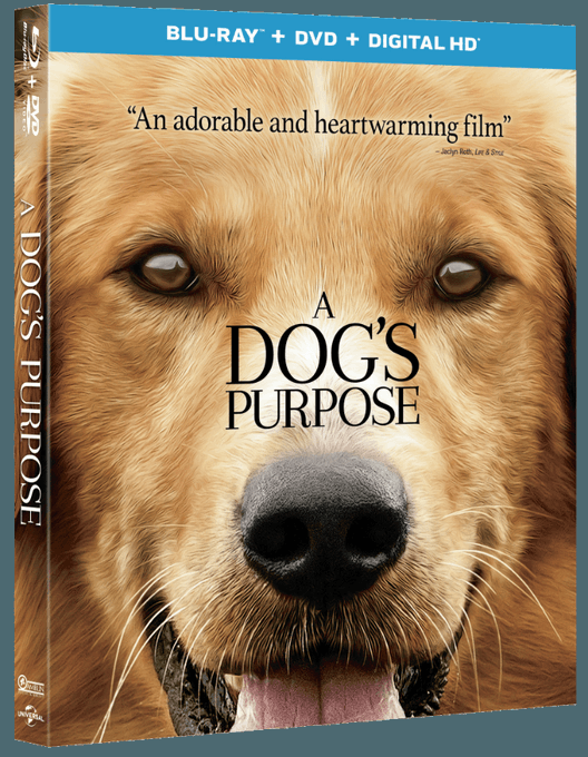 GIVEAWAY: Enter NOW To Win “A Dog’s Purpose” On Blu-ray! GIVEAWAY: Enter NOW To Win “A Dog’s Purpose” On Blu-ray!