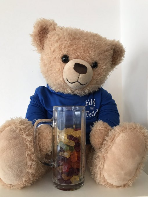 Eddy The Teddy Eddy The Teddy