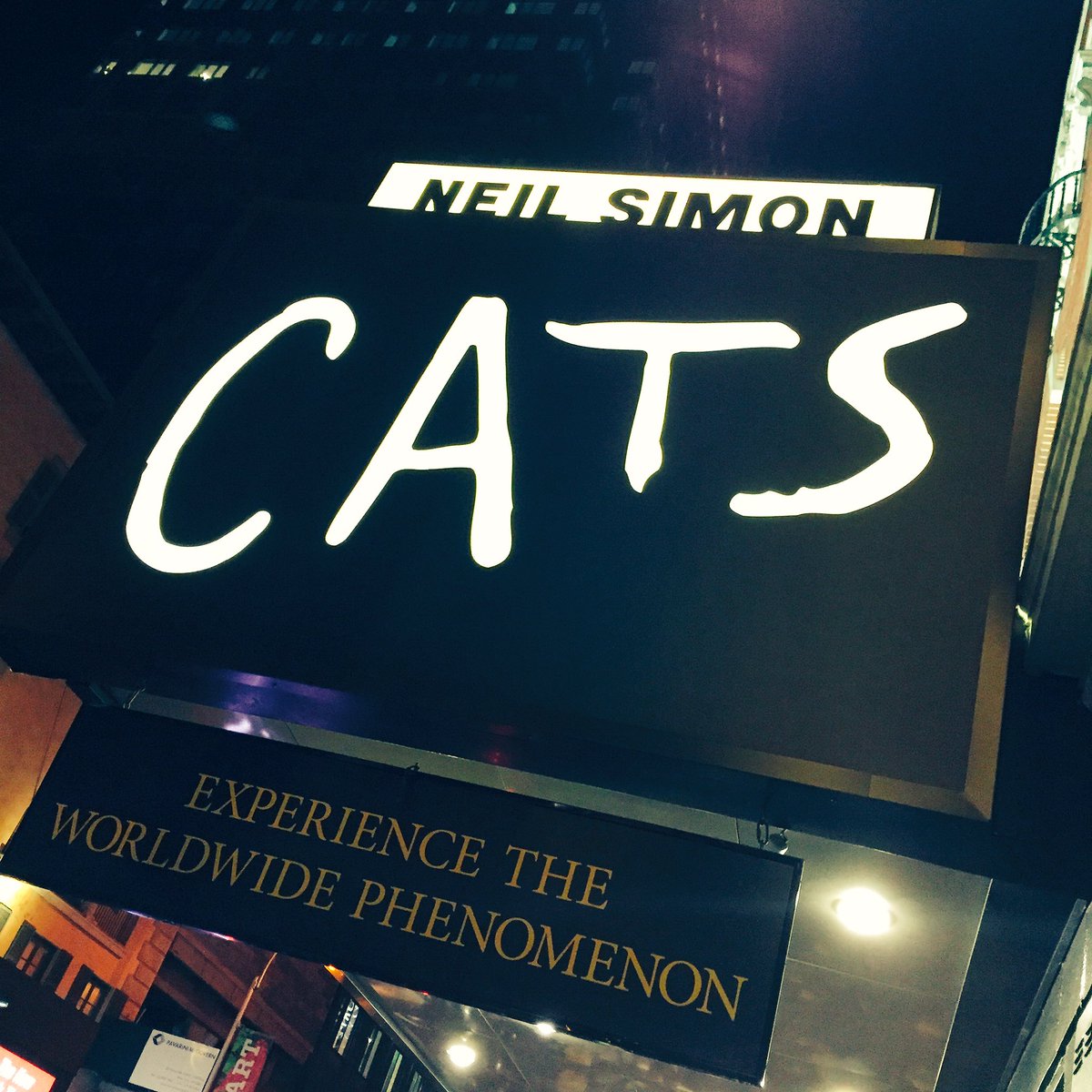 Crazy cat lady (me) finally got to experience @CatsBroadway ????????????????????????

It was AWESOME! https://t.co/k7dKug84aK