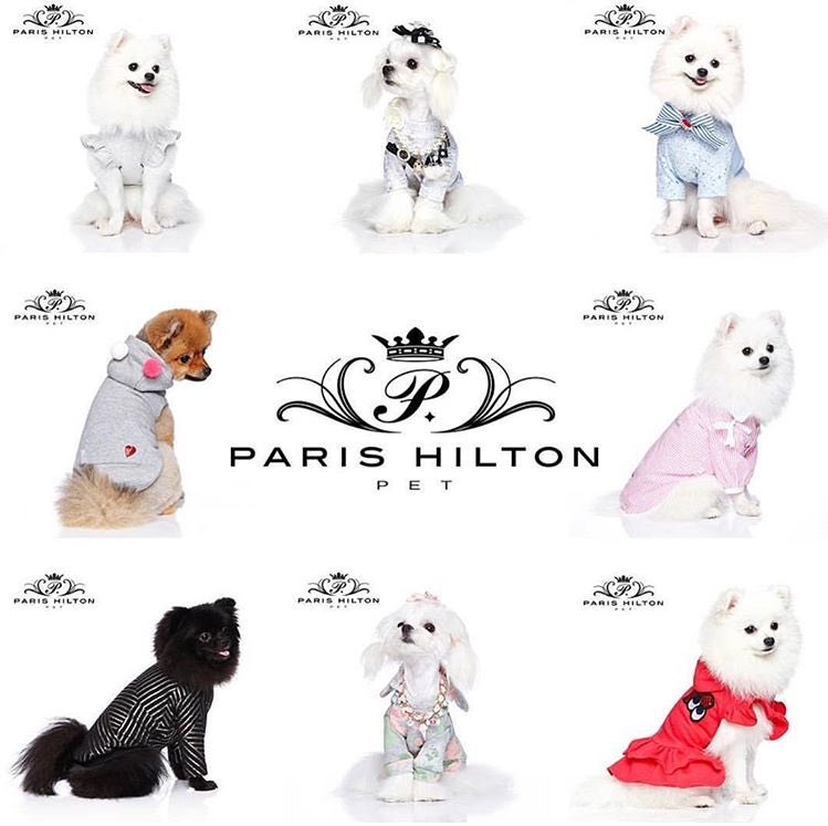 Love my new #ParisHiltonPet2017 dog clothing line! So many cute outfits! #FashionablePup ???????????????? https://t.co/eC2Hkz7Iqj