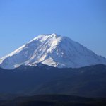 It wasn't all bad news for the planet: 5 positive environmental stories from 2016 It wasn't all bad news for the planet: 5 positive environmental stories from 2016