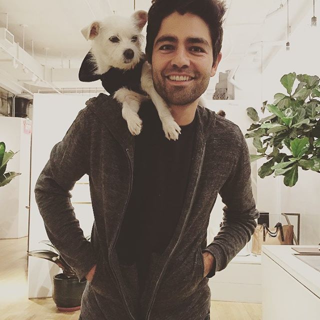 Have you met Pip? #puppylove ???? ???? https://t.co/V8RfsMsKeF https://t.co/GcYl8z2zmL