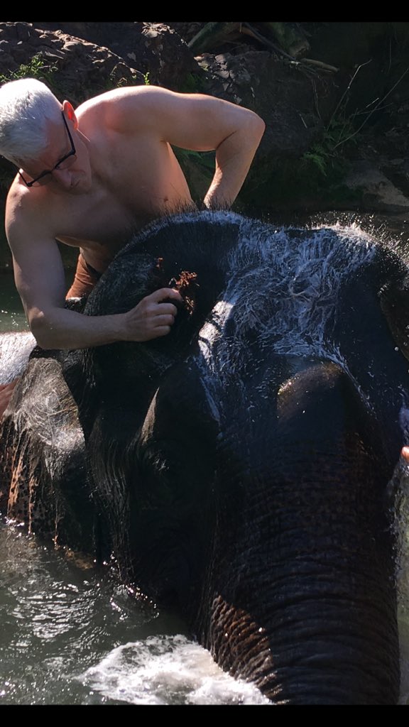 Washing an old elephant rescued after decades working in #Myanmar's logging industry. #GreenHillValleyElephantCamp. 
