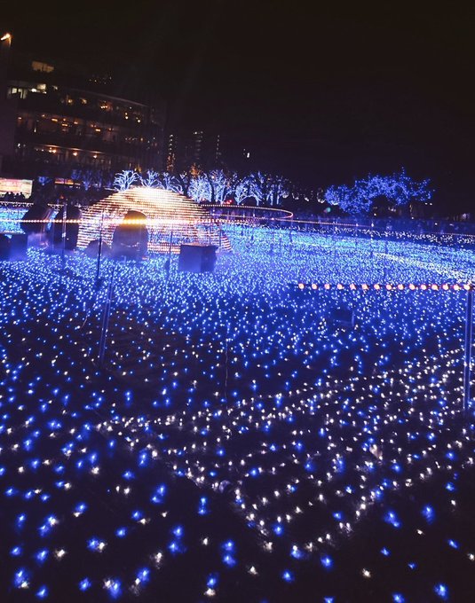 16年クリスマス 綺麗なイルミネーション画像まとめ Twiggy Twiggy