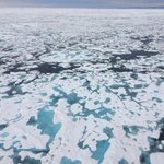 Super-warm Arctic winter 'extremely unlikely' without climate change, scientists say Super-warm Arctic winter 'extremely unlikely' without climate change, scientists say