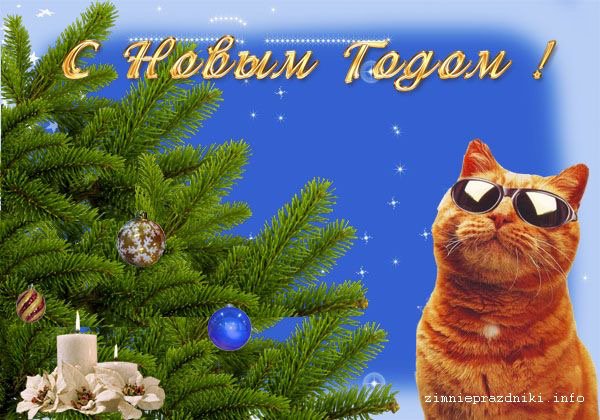 Ролик с новогодним поздравлением