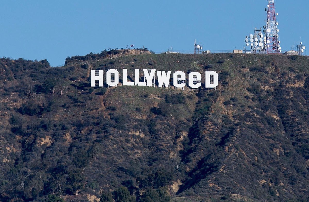 #hollyweed - that's were I get my mail. #merryjane https://t.co/t5YgjAcEVv