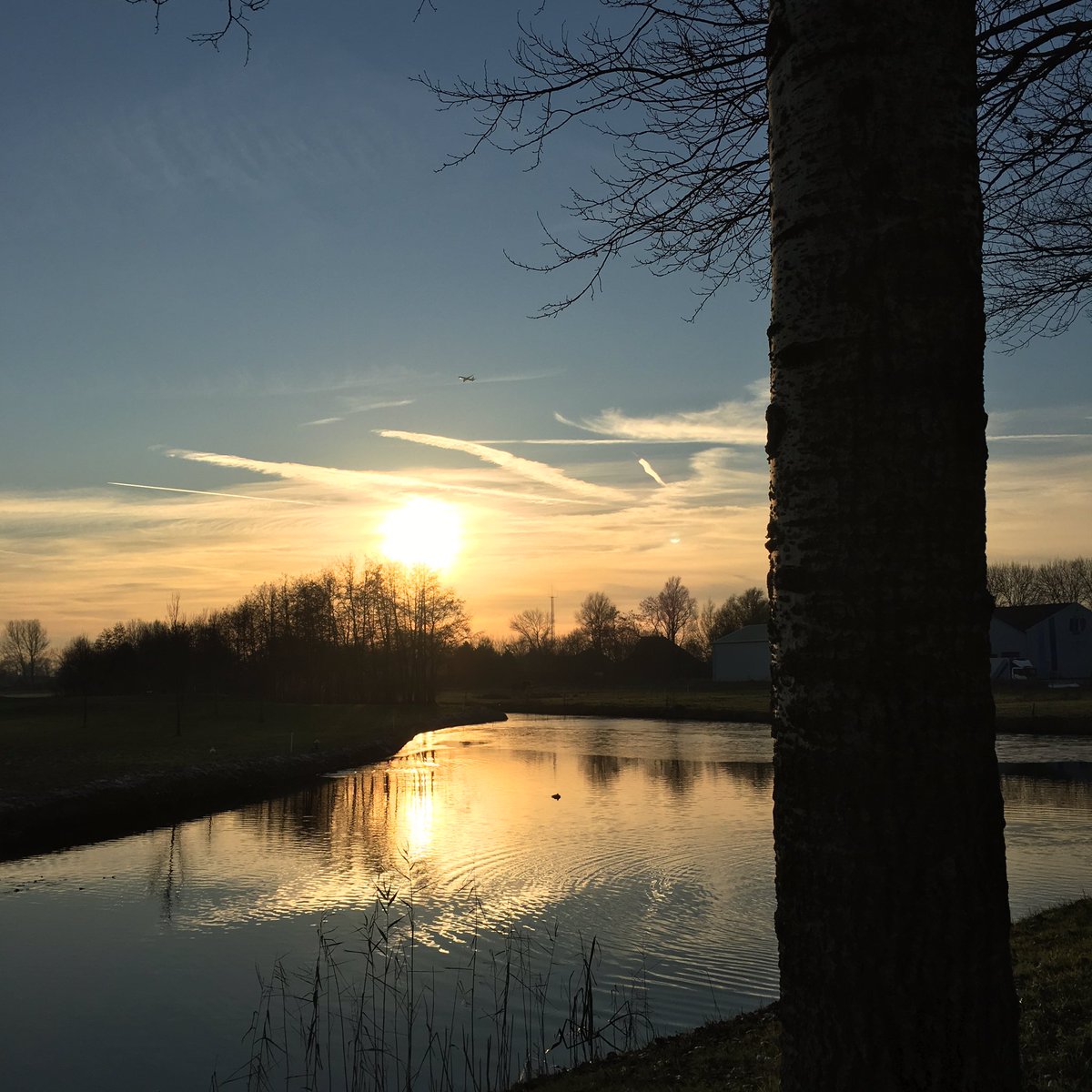 Bron: Admiraal Tuinvorming