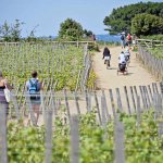 ‘Alcohol production licence not a tax on product’ says Chief Pleas « Guernsey Press ‘Alcohol production licence not a tax on product’ says Chief Pleas « Guernsey Press