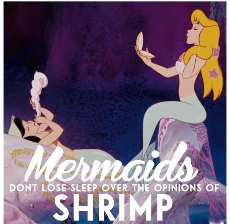 Mermaids don't lose sleep over the opinion of shrimp. ✨✨????????????????✨✨ https://t.co/VM2wexia75