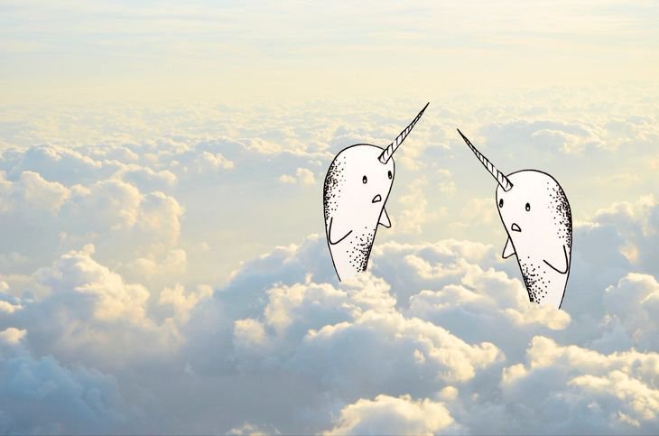 RT @hitRECord: Narwhals in the clouds... there are worse things — https://t.co/Rug4AvUs8t https://t.co/AkuzBRKgn1