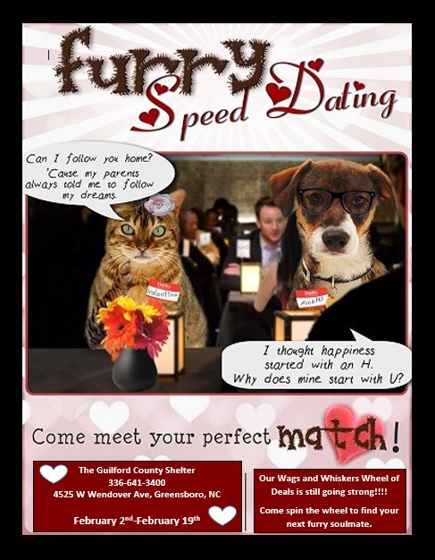 meet guilford county singles You’re ready to meet new people, but your job and social circles don’t have eligible singles that interest you you’ve tried online dating, but you’re sick and tired of the endless back and. meet guilford county singles You’re ready to meet new people, but your job and social circles don’t have eligible singles that interest you you’ve tried online dating, but you’re sick and tired of the endless back and.