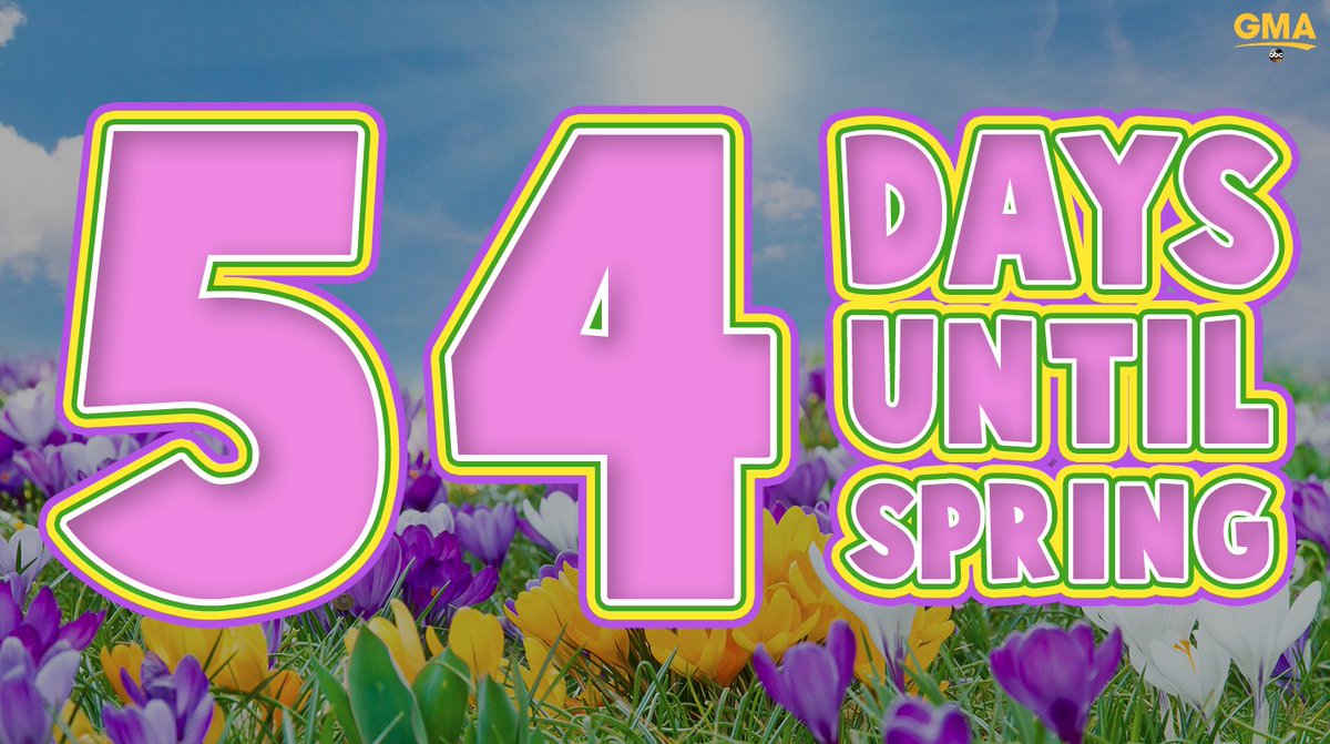 54 days until spring! 🌷 🌻 🌺 🌸