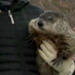 Michigan's Woody the Woodchuck predicts 6 more weeks of winter