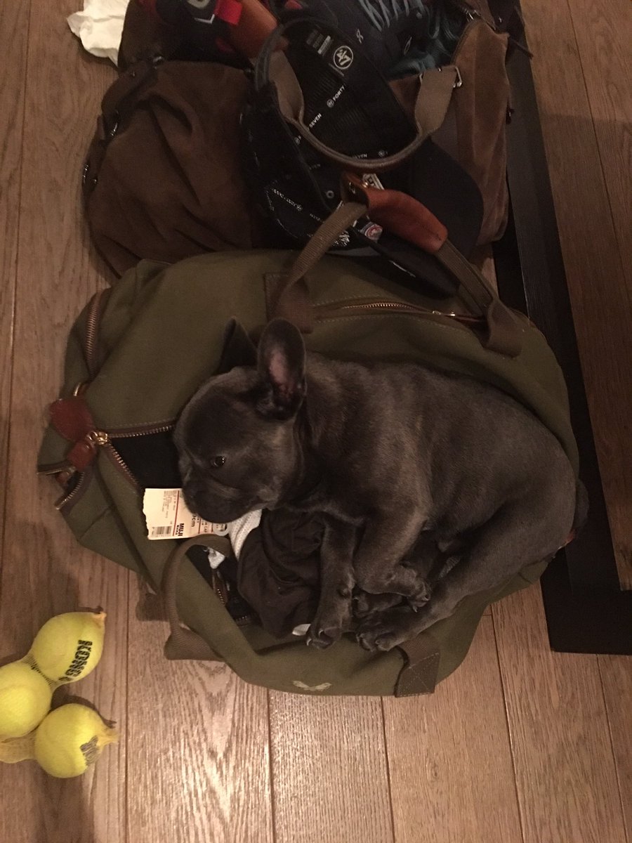 I think Bubs wants to travel,found him like this... https://t.co/jCFJEoHLVE