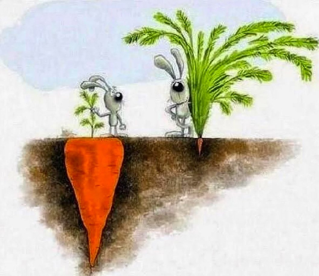 ???????????? this! It’s SO true. RT @adamsconsulting: Success is not always what you see. :) #wednesdaywisdom https://t.co/GysCbxRAXs