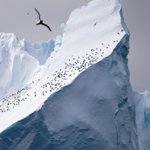 New Antarctic conservation laws New Antarctic conservation laws