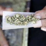 Springfield officials shut down a shop distributing marijuana as ‘gifts’