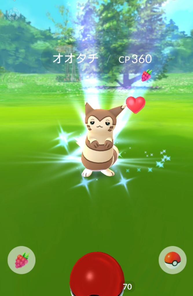 ポケモンgo 新キャラで一番かわいいの この子じゃない