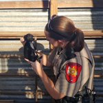 MCSO seizes dogs, horse in animal cruelty case