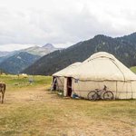 You’re never lonely in Mongolia You’re never lonely in Mongolia