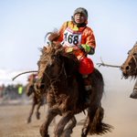 No joy ride: Mongolian child jockeys risk their lives in dangerous horse races despite ban No joy ride: Mongolian child jockeys risk their lives in dangerous horse races despite ban