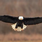 Grant's Getaways: Just a snapshot away