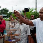 Boxe, Tyson va ko in Suriname, non riesce a fare cantare un uccello Boxe, Tyson va ko in Suriname, non riesce a fare cantare un uccello