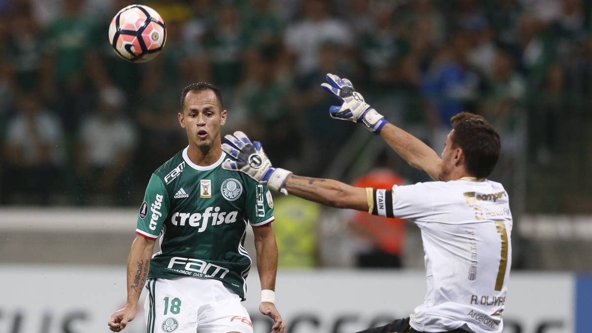 Resultado de imagen de lobo guerra brasil