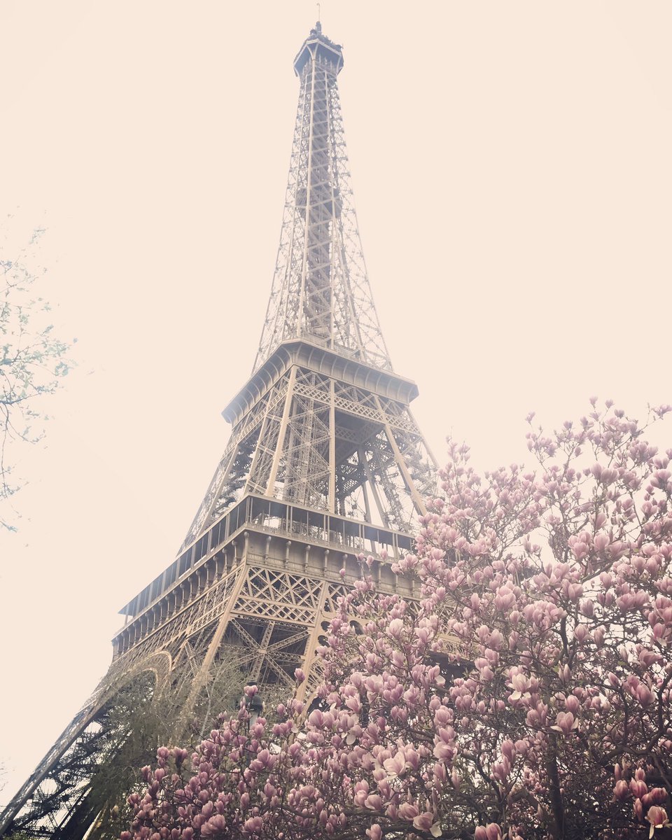 My Picture of Paris Today ???? https://t.co/SVVeovLZet