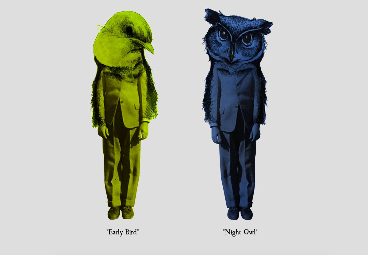 Which one are you? https://t.co/bpeYOUAFJk #EarlyBird #NightOwl https://t.co/7KuvWuOthI