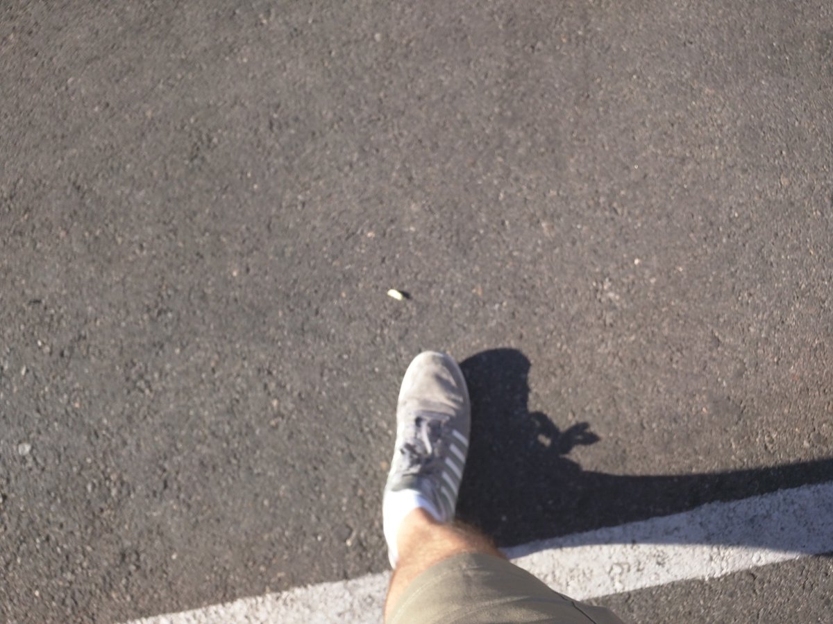 brentwpeterson: This photo is from #MageRun 2015. Who's shoe? @vkerkhoff @raybogman ?? #Magentoimagine #throwback https://t.co/EiU0lbL6Ap