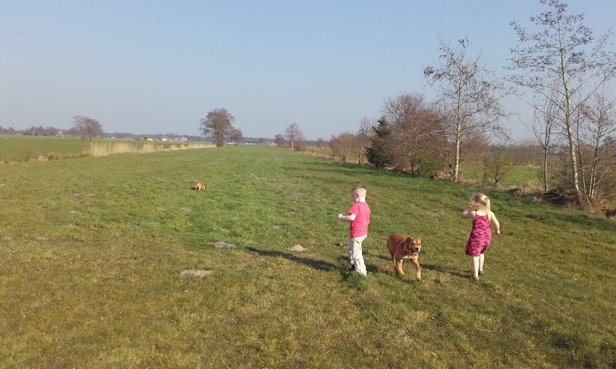 #lente